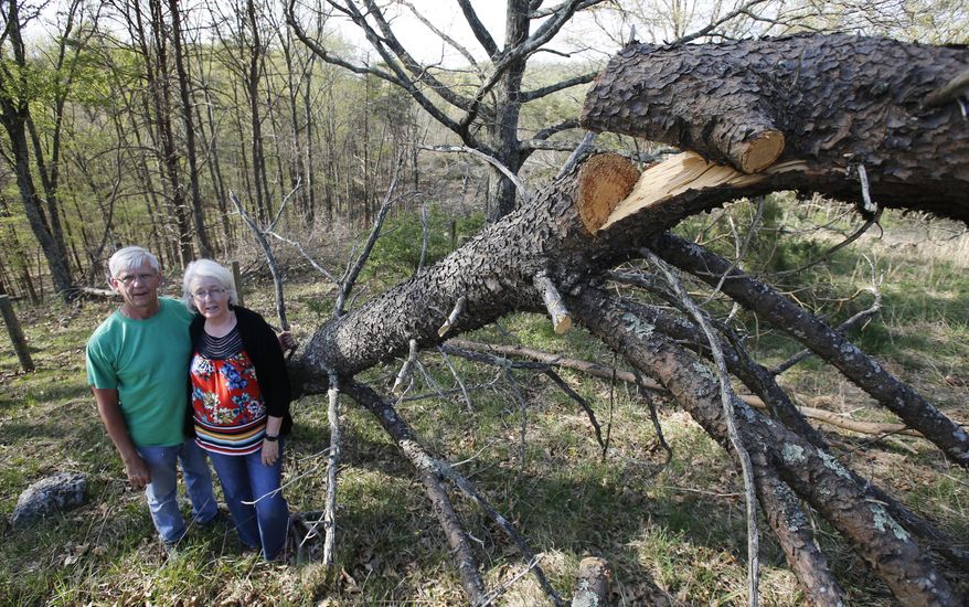 In this Thursday, May 3, 2018 photo, Becky and Roger Crabtree pose next to a downed tree on the route of the proposed Mountain Valley Pipeline on their property in Lindside, W.Va. The Crabtree's are part of a coalition of Virginia and West Virginia landowners opposed to what they call an unconstitutional land grab and have taken their fight to a federal appeals court. (AP Photo/Steve Helber)