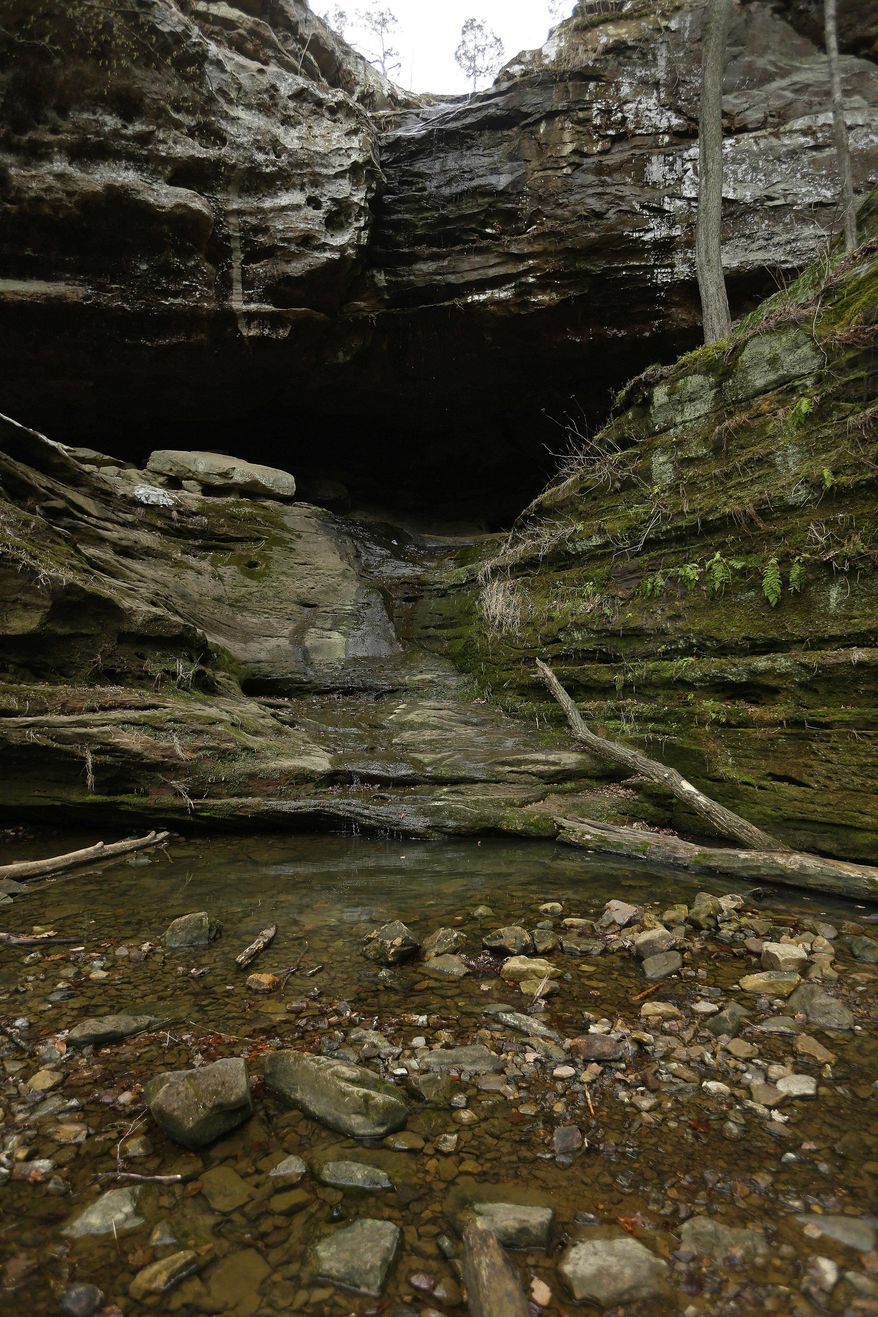 FILE -This April, 8, 2013 file photo, shows the rock formations at Ferne Clyffe State Park in Goreville, Ill. A southern Illinois man has died after falling more than 60 feet from the edge of a waterfall area at the state park. Williamson County Coroner Mike Burke says 22-year-old Charles D. Gill of Pittsburg died Sunday, May 6, 2018, after falling at Ferne Clyffe. The coroner says Gill apparently lost his footing. He was taken to a Marion hospital where he was pronounced dead.(AP Photo/Seth Perlman File)