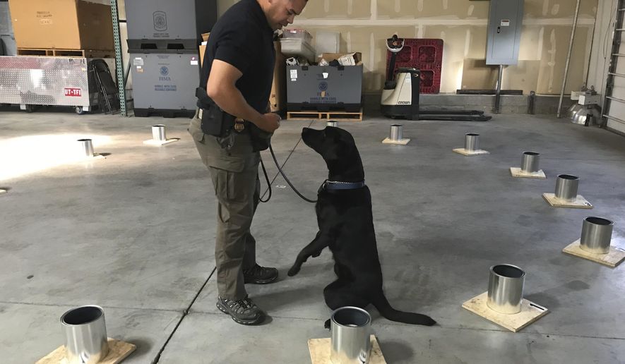 In this Wednesday, May 9, 2018, photo, Bureau of Alcohol, Tobacco and Firearms K-9 officer Randi practices her explosive odor recognition with special agent canine handler Rennie Mora at the Unified Fire Logistics Warehouse in West Jordan, Utah. (Ashley Imlay/The Deseret News via AP)
