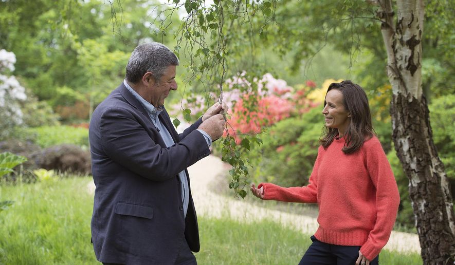 Floral designer Philippa Craddock, right and Keeper of the Gardens John Anderson are photographed in the Savill Garden, in Windsor Great Park, Windsor, England, Wednesday, May 16, 2018, as they look at leaves to be used in the floral displays at St George's Chapel. The arrangements will be created using locally sourced foliage, much of which will be taken from the gardens and parkland of Windsor Great Park. (Eddie Mulholland/Pool Photo via AP)