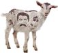 5_202018_b1-pipe-stalin-goat8201.jpg
