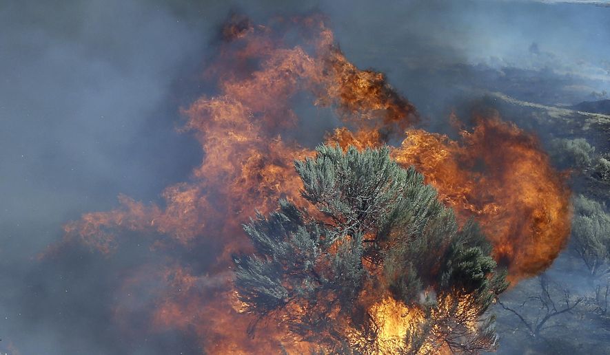 FILE - In this Aug. 5, 2015 file photo, fire engulfs sagebrush near Roosevelt, Wash. Federal officials say they're losing the battle against a devastating combination of invasive plant species and wildfires in the vast sagebrush steppe habitats in the U.S. West that support cattle ranching, recreation and is home to an imperiled bird. (AP Photo/Don Ryan, File)