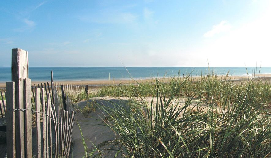 This undated photo provided by the Cape Cod Chamber of Commerce shows Coast Guard Beach on Cape Cod in Massachusetts. Coast Guard Beach is No. 5 on the list of best beaches for the summer of 2018 compiled by Stephen Leatherman, also known as Dr. Beach, a professor at Florida International University. (Margo Tabb/Cape Cod Chamber of Commerce via AP)