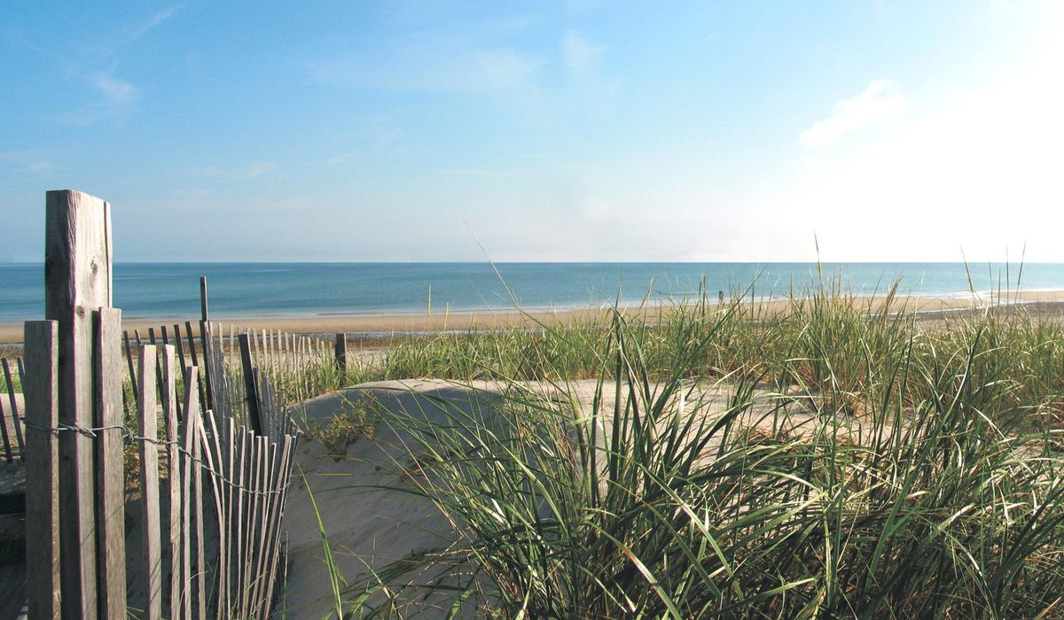 NextImg:18 Massachusetts beaches close due to bacterial contamination