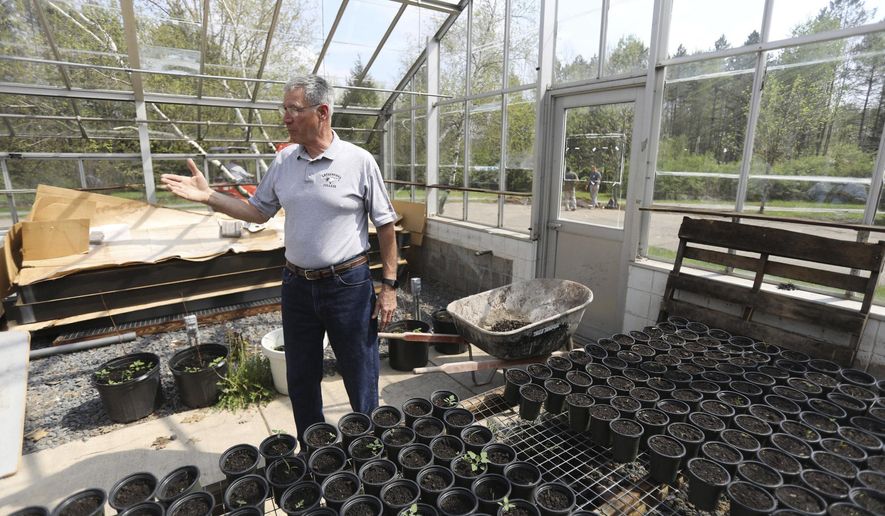 CORRECTS TO THURSDAY MAY 10 FROM MAY 11 - In this Thursday, May 10, 2018 photo, Ray Angeli gives a tour of the facility next to the greenhouse at NEET center where hemp for research will be grown with a license of the state in Mayfield, Pa. Hemp is coming to Lackawanna County, and students from Lackawanna College's new Sustainable Agriculture program will participate in research. (Jake Danna Stevens/The Times-Tribune via AP)