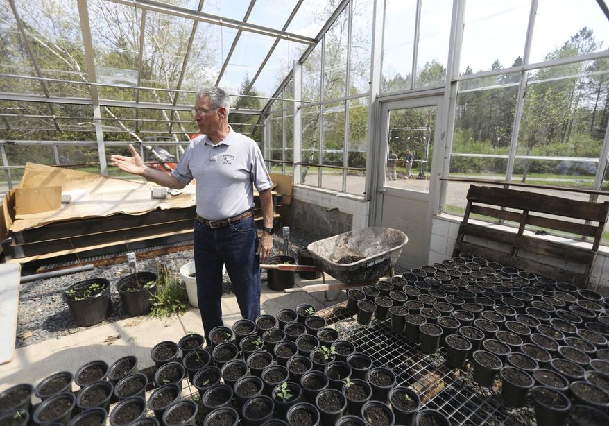 CORRECTS TO THURSDAY MAY 10 FROM MAY 11 - In this Thursday, May 10, 2018 photo, Ray Angeli gives a tour of the facility next to the greenhouse at NEET center where hemp for research will be grown with a license of the state in Mayfield, Pa. Hemp is coming to Lackawanna County, and students from Lackawanna College's new Sustainable Agriculture program will participate in research. (Jake Danna Stevens/The Times-Tribune via AP)