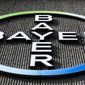 This Monday, May 23, 2016, file photo, shows the Bayer AG corporate logo displayed on a building of the German drug and chemicals company in Berlin. (AP Photo/Markus Schreiber, File)