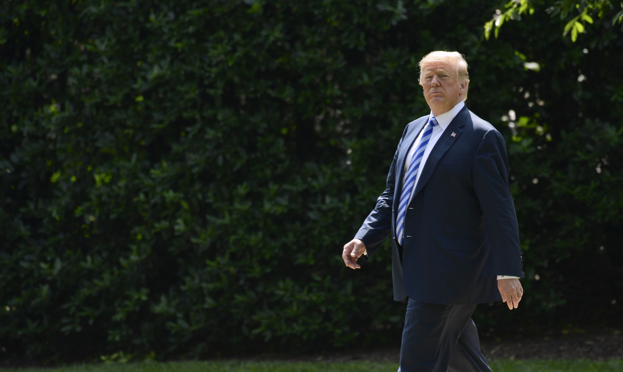 Kevin McCarthy, Chris Christie squelch Trump pardon talk