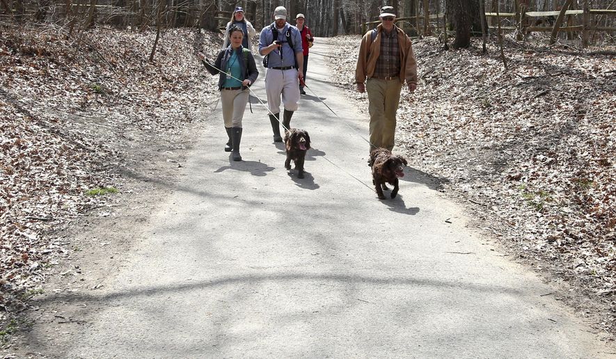 In this Thursday, April 26, 2018 photo, the group is led by the dogs during the search for turtles at Wildwood Preserve Metropark in Toledo, Ohio. (Kurt Steiss/The Blade via AP)