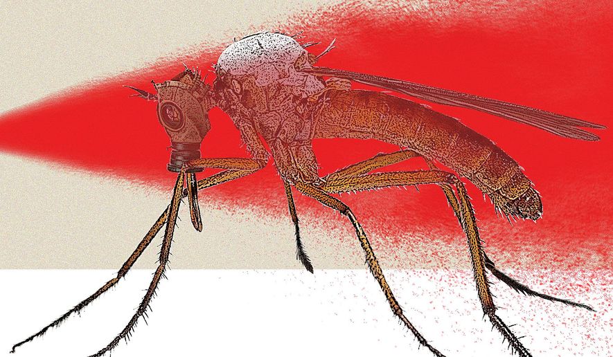 Insect-borne Diseases Illustration by Linas Garsys/The Washington Times