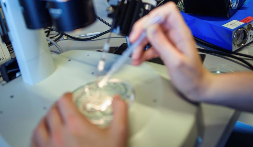 In this May 22, 2018, file photo, a researcher in Berlin, Germany, handles a petri dish while observing a CRISPR/Cas9 process through a stereomicroscope at the Max-Delbrueck-Centre for Molecular Medicine. (Photo by: Gregor Fischer/picture-alliance/dpa/AP Images)