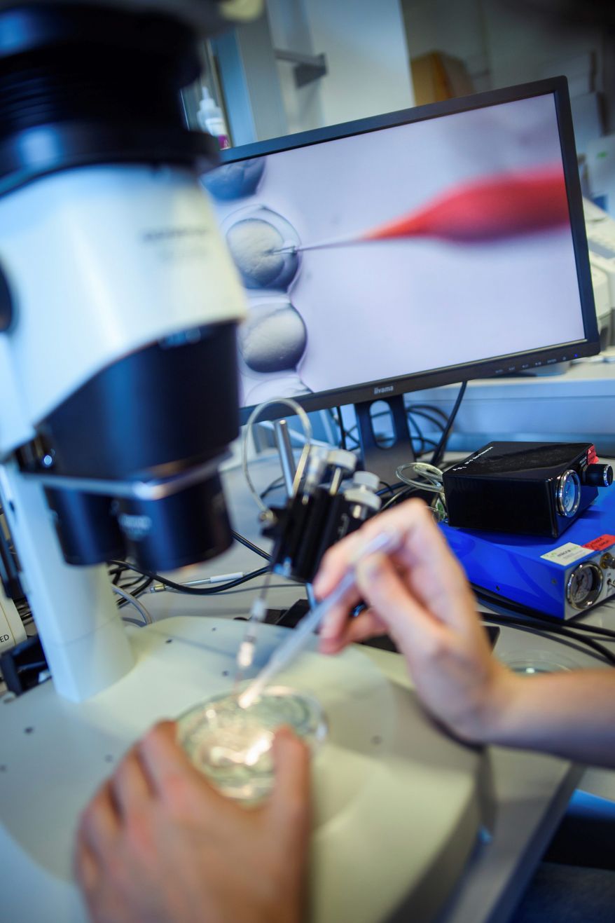 In this May 22, 2018, file photo, a researcher in Berlin, Germany, handles a petri dish while observing a CRISPR/Cas9 process through a stereomicroscope at the Max-Delbrueck-Centre for Molecular Medicine. (Photo by: Gregor Fischer/picture-alliance/dpa/AP Images)