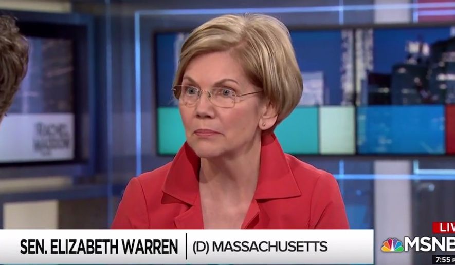 Massachusetts Sen. Elizabeth Warren discusses midterm elections with MSNBC&#39;s Rachel Maddow, June 14, 2018. The Democrat said she lives &quot;in terror&quot; every day of what might happen if her party fails to resonate with voters. (Image: MSNBC screenshot)