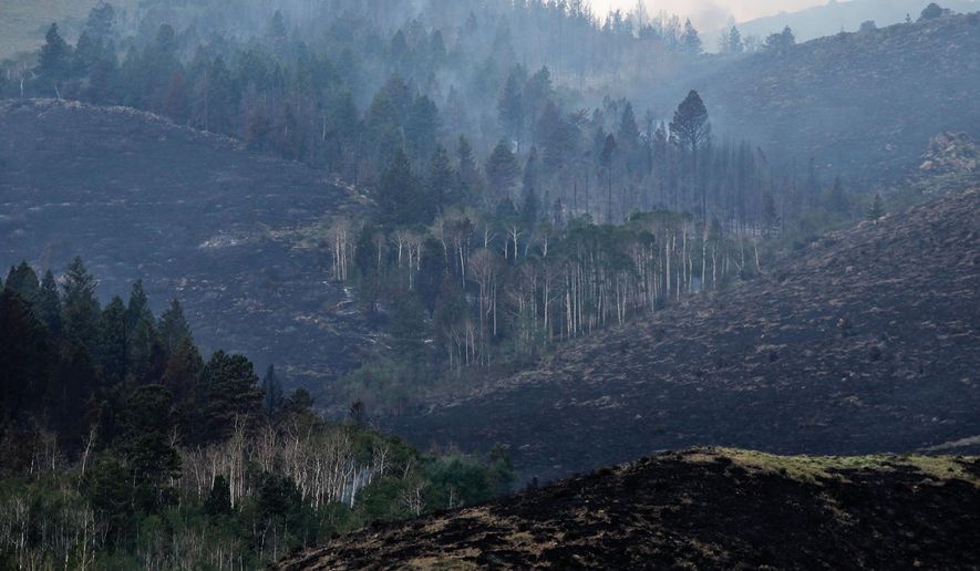 Smoke from a wildfire drifts through trees on the side of a hill Saturday, June 16, 2018, in the Medicine Bow National Forest near Jelm, Wyo. (Shannon Broderick/Laramie Boomerang via AP)