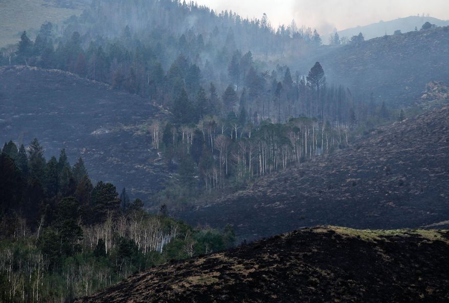 Smoke from a wildfire drifts through trees on the side of a hill Saturday, June 16, 2018, in the Medicine Bow National Forest near Jelm, Wyo. (Shannon Broderick/Laramie Boomerang via AP)