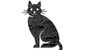 6_192018_b3-tyrr-black-cat-g8201.jpg