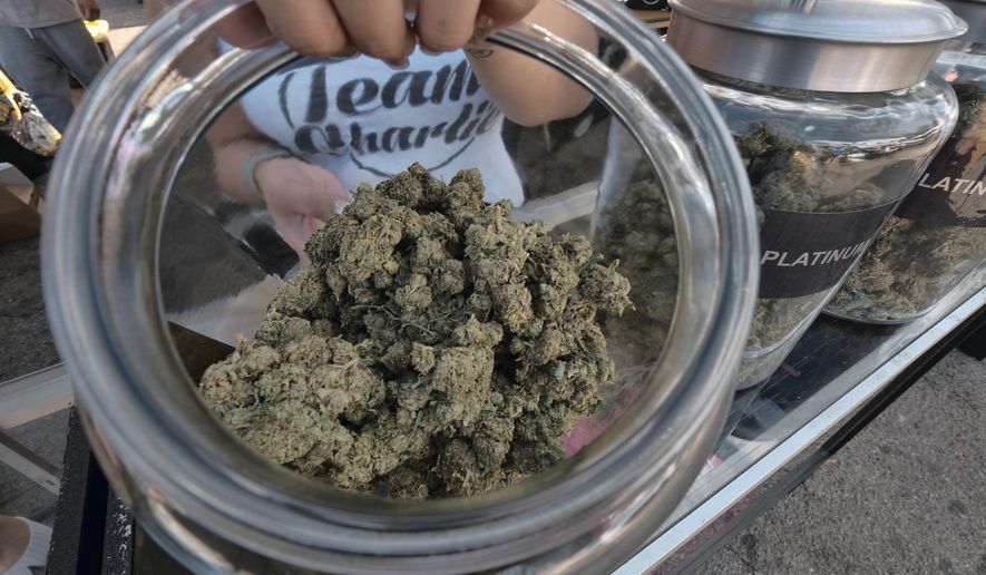 This Saturday, Nov. 11, 2017 photo a vendor shows one of an assortment of marijuana strains during the High Times Harvest Cup in San Bernardino, Calif. The first time in Southern California, the Harvest Cup competition and festival celebrated the best cannabis cultivated this season. (AP Photo/Richard Vogel)