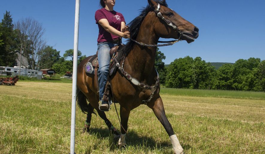 Jeni Fey, of Hegins, rides her horse Charlie through poles as she practices for the 70th Annual National High School Finals Rodeo pole bending competition on Tuesday, June 12, 2018 at her home in Hegins, Pa. (David McKeown/The Republican-Herald via AP)