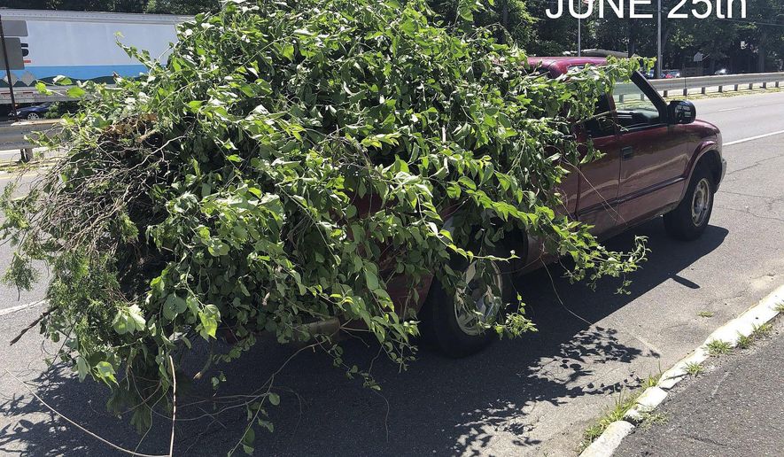 This June 25, 2018 photo released by the Chicopee Police Department shows an overloaded truck pulled over for uncovered cargo in Chicopee, Mass. The same unnamed driver was pulled over in by the Massachusetts State Police on June 20 for another unsecured load on Interstate 91 in Springfield. (Chicopee Police Department via AP)