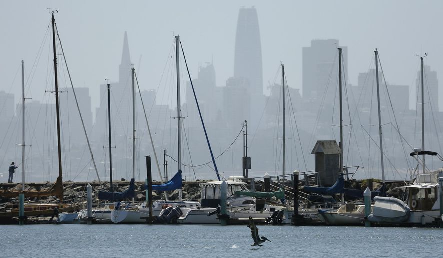 A brown pelican begins to fly after being released at Fort Baker Friday, June 29, 2018, in Sausalito, Calif. In the background is the San Francisco skyline. Seven young brown pelicans were released into the wild in Northern California after spending weeks at an aviary recovering from malnutrition. Russ Curtis of International Bird Rescue said the birds noted for their large, pointy beaks are among more than 80 sick and starving pelicans taken in by the group throughout the state since April. (AP Photo/Eric Risberg)