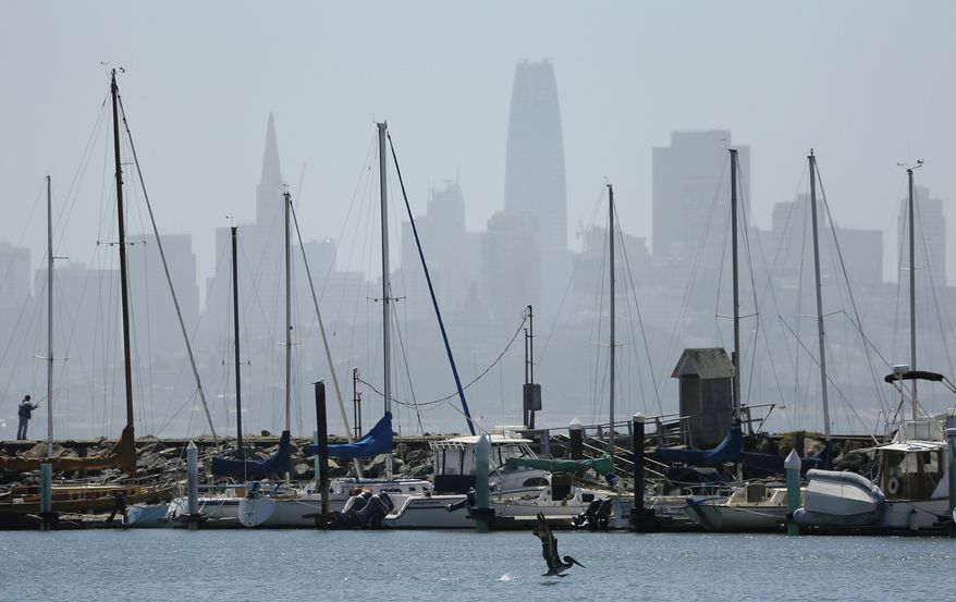 A brown pelican begins to fly after being released at Fort Baker Friday, June 29, 2018, in Sausalito, Calif. In the background is the San Francisco skyline. Seven young brown pelicans were released into the wild in Northern California after spending weeks at an aviary recovering from malnutrition. Russ Curtis of International Bird Rescue said the birds noted for their large, pointy beaks are among more than 80 sick and starving pelicans taken in by the group throughout the state since April. (AP Photo/Eric Risberg)