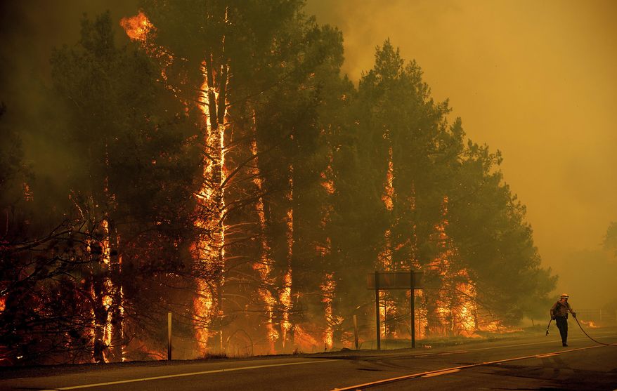 A firefighter scrambles to stop a wildfire as wind drives embers across Highway 20 near Clearlake Oaks, Calif., on Sunday, July 1, 2018. (AP Photo/Noah Berger)