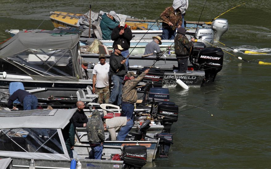 FILE - In this May 5, 2011, file photo, fishermen in motorboats form a "hog line" during the Spring Chinook Salmon run on the Willamette River in Oregon City, Ore. The Oregon State Marine Board plans to ask the Legislature to increase registration fees paid by motorized boaters. (AP Photo/Don Ryan, File)