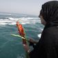 FILE - In this Monday, July 2, 2012 file photo, Najmeh Arshad, an Iranian woman whose father was killed when a U.S. warship shot down an Iranian airliner 24 years ago, scatters flowers into the Persian Gulf during a ceremony remembering the 290 passengers at the spot where the airliner was downed. In the waters of the Persian Gulf just off Iran, mourners tossed flowers from a helicopter and a ferry Tuesday to mark the 30th anniversary of the U.S. Navy shooting down of an Iranian commercial airline, killing 290 people. (AP Photo/Vahid Salemi, File)