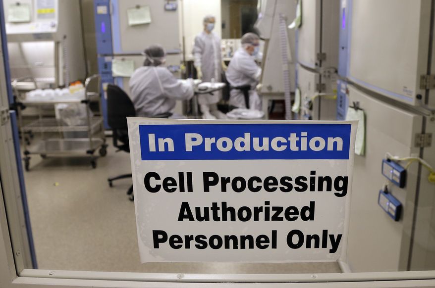 This photo taken March 29, 2017, shows the cell processing facility at the Fred Hutchinson Cancer Research Center where workers create customized cellular immunotherapies for patients, genetically engineering their own immune system's T cells into better cancer killers. (AP Photo/Elaine Thompson)