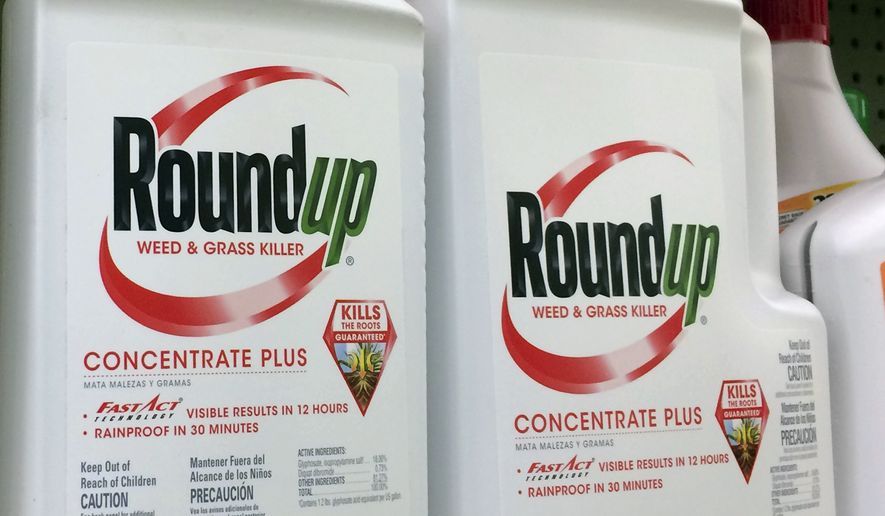 FILE - This Jan. 26, 2017, file photo shows containers of Roundup, a weed killer made by Monsanto, on a shelf at a hardware store in Los Angeles. Lawyers for a school groundskeeper dying of cancer asked a San Francisco jury during a trial Monday, July 9, 2018, to find that agribusiness giant Monsanto's widely used weed killer Roundup likely caused his disease. (AP Photo/Reed Saxon, File)
