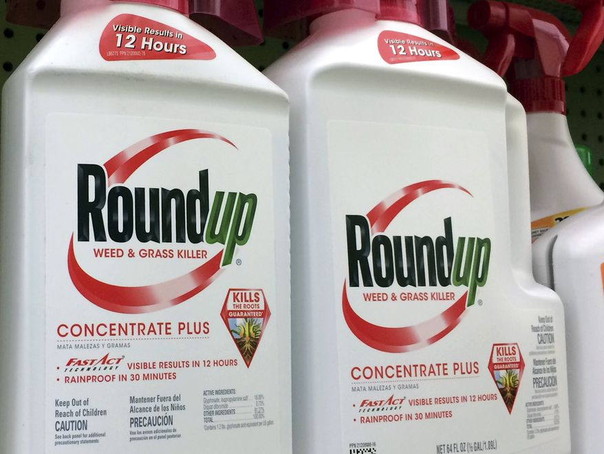 FILE - This Jan. 26, 2017, file photo shows containers of Roundup, a weed killer made by Monsanto, on a shelf at a hardware store in Los Angeles. Lawyers for a school groundskeeper dying of cancer asked a San Francisco jury during a trial Monday, July 9, 2018, to find that agribusiness giant Monsanto's widely used weed killer Roundup likely caused his disease. (AP Photo/Reed Saxon, File)