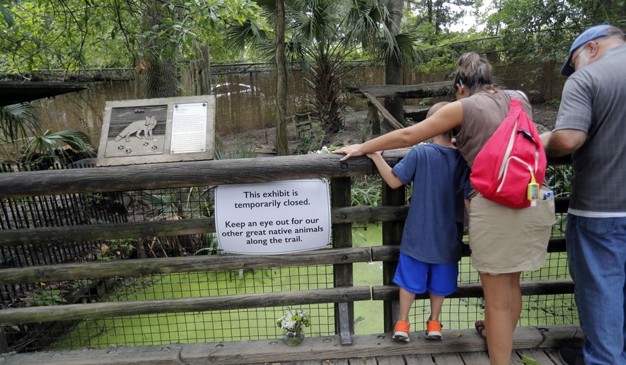Visitors look at the fox exhibit at the Audubon Zoo in New Orleans, Monday, July 16, 2018. The death of a wounded fox, Rusty, brings to nine the number of animals that have died as the result of the weekend escape of a jaguar from its enclosure at the zoo in New Orleans. (AP Photo/Gerald Herbert)