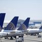 United Airlines commercial jets sit at a gate at Terminal C of Newark Liberty International Airport, Wednesday, July 18, 2018, in Newark, N.J. (AP Photo/Julio Cortez)