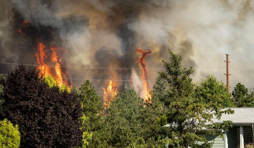 Trees burn near a home Tuesday, July 17, 2018 in Spokane, Wash. Fire crews from Spokane, Spokane Valley and Fire District 9 are fighting a fast-moving wildfire just north of Upriver Drive that has engulfed several homes and prompted fire officials to call for a level three evacuation for homeowners in the area. (Colin Mulvany/The Spokesman-Review via AP)
