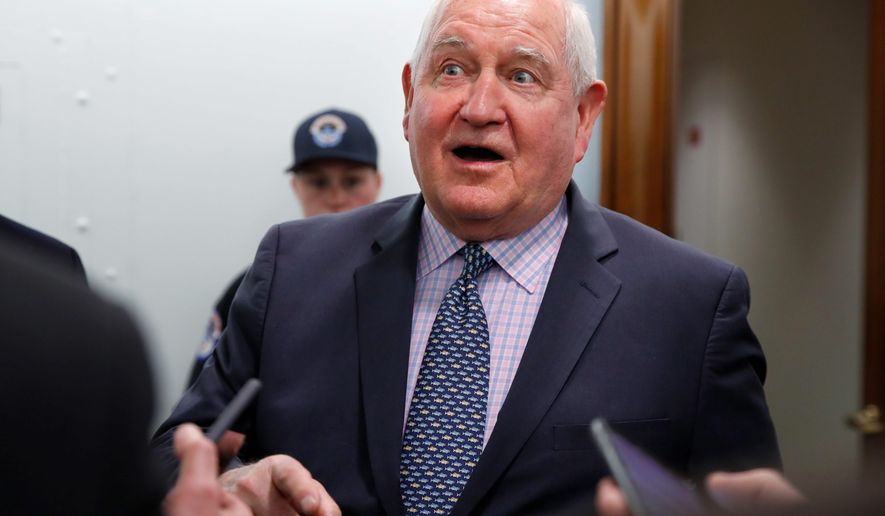 "This is a short-term solution that will give President Trump and his administration the time to work on long-term trade deals," said Agriculture Secretary Sonny Perdue about the Trump administration's $12 billion bailout plan to help farmers harmed by tariffs. (Associated Press)