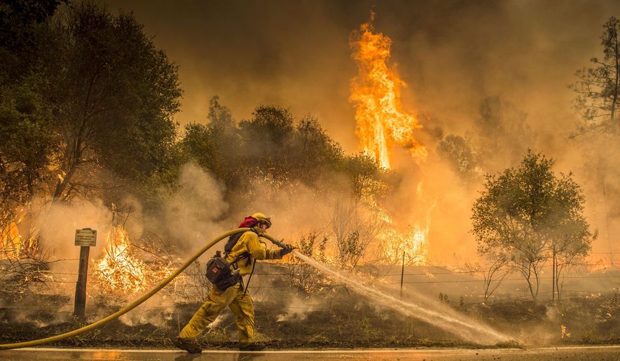 A Cal Fire firefighter waters down a back burn on Cloverdale Rd., near the town of Igo, Calif., Saturday, July 28, 2018. The back burn kept the fire from jumping towards Igo, Calif. Scorching heat, winds and dry conditions complicated firefighting efforts. (Hector Amezcua/The Sacramento Bee via AP)
