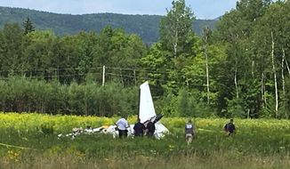 This photo provided by WVII-TV/ABC7 shows the tail of a small plane that crashed near Greenville Municipal Airport in Greenville, Maine, Monday, July 30, 2018. Police in Maine are investigating the deadly plane crash near a small airport. (WVII-TV/ABC7 via AP)
