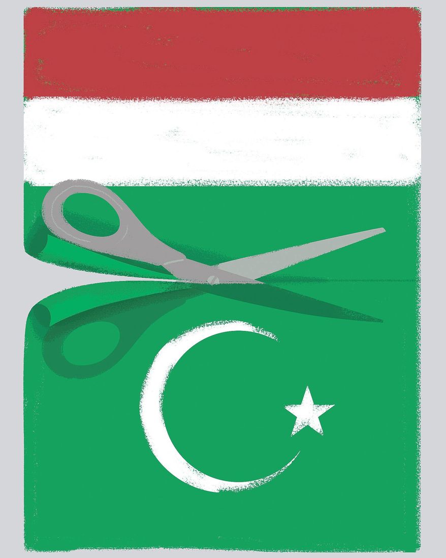 Illustration on Hungarian resistance to Islamic encroachment by Linas Garsys/The Washington Times