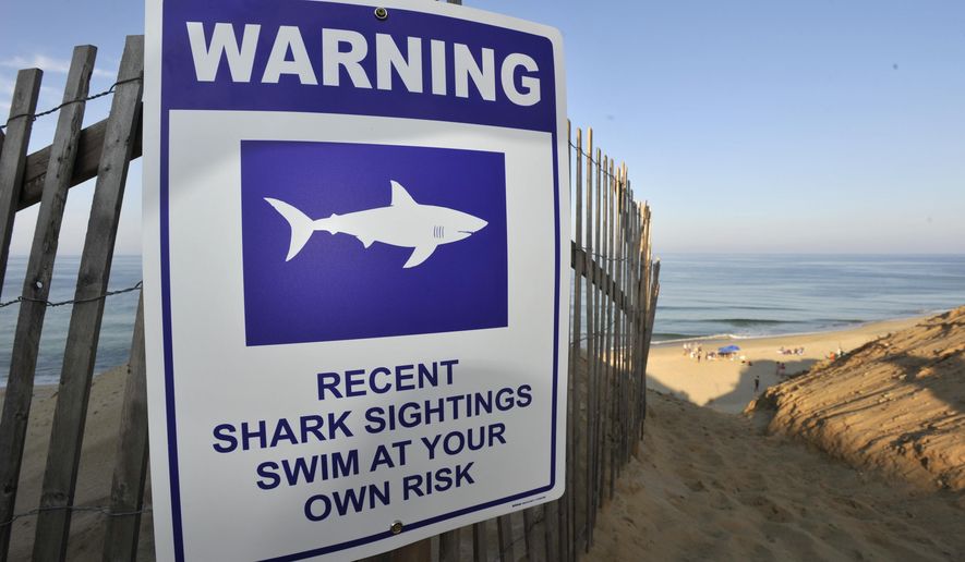 A sign warns visitors to Long Nook Beach of recent shark sightings, Wednesday, Aug. 15, 2018 in Truro, Mass.  A man swimming off Cape Cod was attacked by a shark on Wednesday and was airlifted to a hospital. It was the first shark attack on a human on the popular summer tourist destination since 2012. (Merrily Cassidy/The Cape Cod Times via AP)