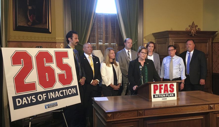 House Democratic floor leader Christine Greig, of Farmington Hills, speaks while other House Democrats look on during a news conference, Tuesday, Sept. 4, 2018, in the state Capitol in Lansing, Mich. Democrats accuse majority Republicans of "inaction" on the contamination of tap water with old industrial chemicals, a charge the GOP denies. (AP Photo/David Eggert)