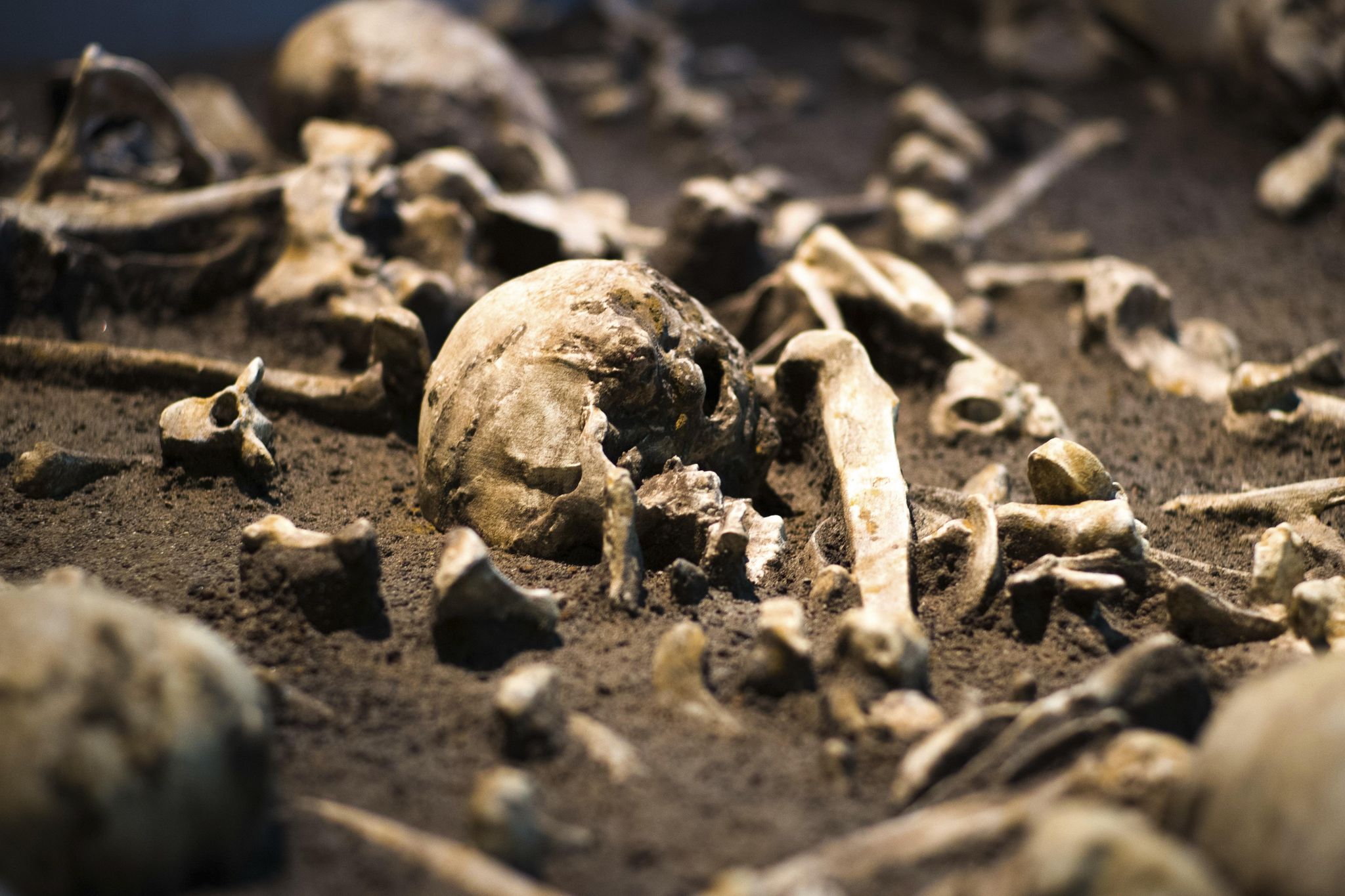 Ancient treasures on show in Germany reveal turbulent past - Washington Times