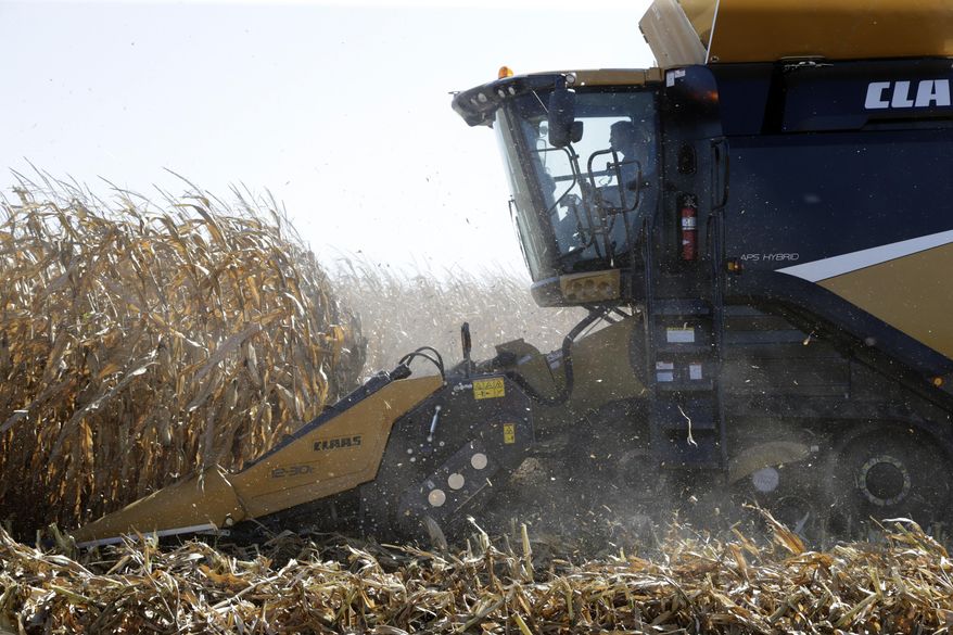 FILE- In this Sept. 12, 2018, file photo a combine harvests corn during a demonstration at the Husker Harvest Days farm show in Wood River, Neb. On Wednesday, Oct. 10, the Labor Department reports on U.S. producer price inflation in September (AP Photo/Nati Harnik, File)