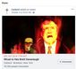 Catland FB.jpeg
