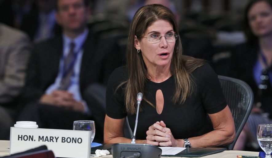 Congresswoman Mary Bono, R-Ca., speaks during a meeting of the Joint Committee Session on addressing the Nation&#x27;s Opiod Crisis at the National Governors Association Summer meeting at the Greenbrier in White Sulphur Springs, W. Va., Saturday, July 25, 2015.  (AP Photo/Steve Helber)