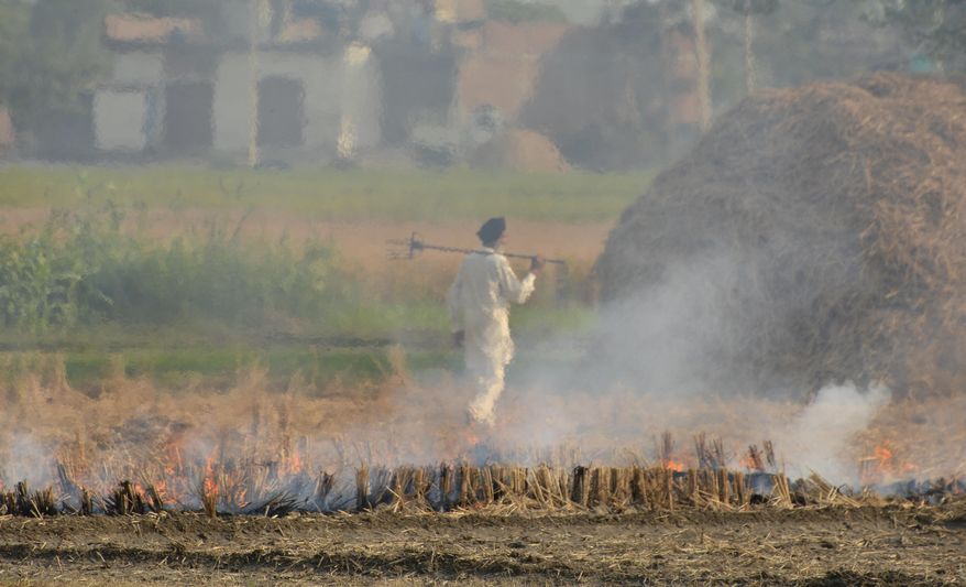 An Indian farmer is seen through smoke as he walks back after burning paddy crop stubble on the outskirts of Amritsar, Punjab state, India, Thursday, Oct. 25, 2018. The Indian capital and large parts of north India gasp for breath for most of the year due to air pollution caused by dust, burning of crops, emissions from factories and the burning of coal and piles of garbage. (AP Photo/Prabhjot Gill)