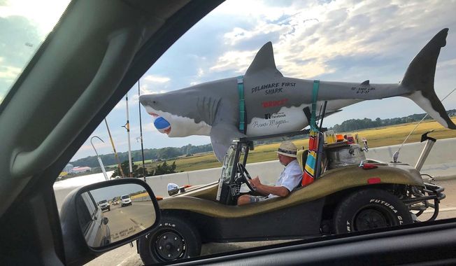 Delaware resident Art drives his shark-themed vehicle on the Del. 1 highway earlier this month. Wilson just likes being noticed while traveling with an attached 110-pound fiberglass shark atop his 1970 Volkswagen Beetle. (Andrew West Clayton /Delaware State News via AP)