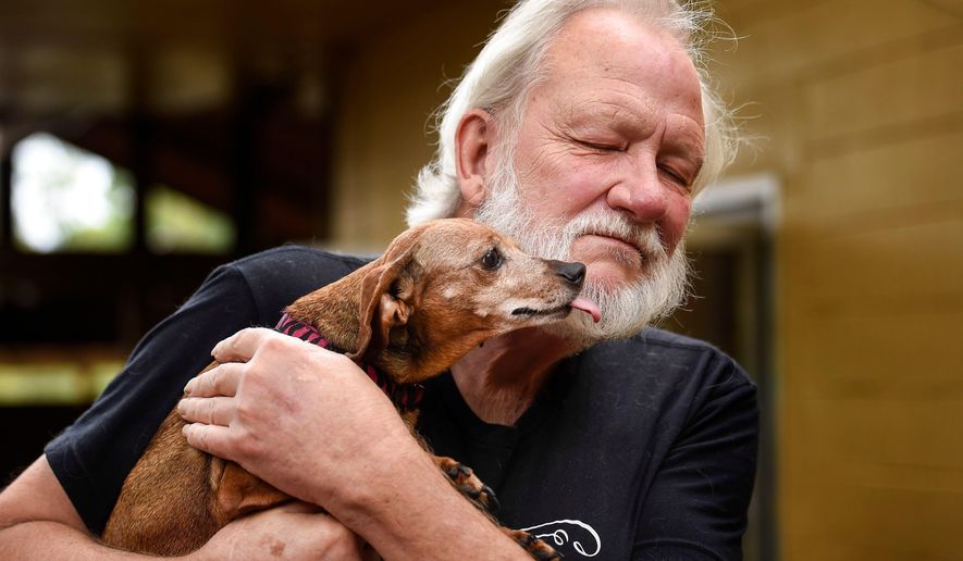 Michael Goodin shows Bonnie some attention at the Old Friends Senior Dog Sanctuary in Mount Juliet, Tenn., Monday, Sept. 24, 2018. (Lacy Atkins /The Tennessean via AP)