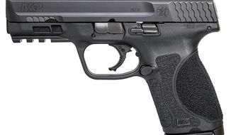BerettaAPX_FDE