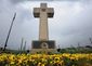 118_2018_simmons-cross8201.jpg