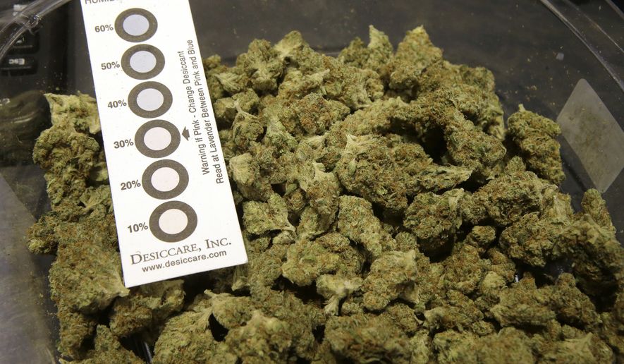 In this Wednesday, Oct. 17, 2018 photo a humidity indicator rests in a bowl of a strain of cannabis called "Walker Kush" at New England Treatment Access medical cannabis dispensary, in Northampton, Mass. The Walker Kush strain of cannabis is intended for legal recreational consumption once cannabis products can be sold legally in the state. Within days perhaps, the medical marijuana dispensary in Northampton expects to receive the final go-ahead to throw its doors open to anyone 21 or older who wants to purchase cannabis products ranging from flower to edibles, creams and even suppositories. (AP Photo/Steven Senne)